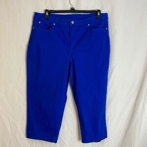 Kim Rogers Blue Women's Size 18 Capri Pants